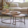 Aasha Carved Mango Wood & Iron Nesting Coffee Tables - Natural - (Set of 2)