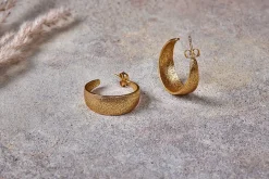 Aavani Earrings - Gold