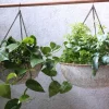 Abari Round Hanging Planter