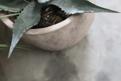 Affiti Clay Planter - Large