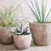 Affiti Clay Planter - Medium
