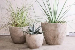 Affiti Clay Planter - Medium