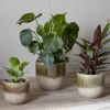 Almeida Reactive Glaze Plant Pot - Olive & Natural