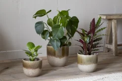 Almeida Reactive Glaze Plant Pot - Olive & Natural
