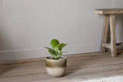 Almeida Reactive Glaze Plant Pot - Olive & Natural