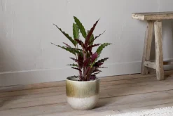 Almeida Reactive Glaze Plant Pot - Olive & Natural