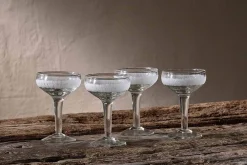 Anara Etched Champagne Glass - Clear (Set of 4)
