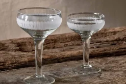 Anara Etched Champagne Glass - Clear (Set of 4)