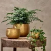 Atsu Brass Planter
