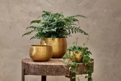 Atsu Brass Planter