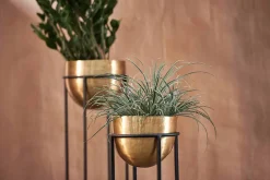 Atsu Brass Planter Stand
