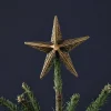 Bishakha Star Tree Topper