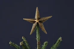 Bishakha Star Tree Topper