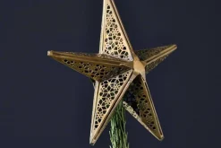 Bishakha Star Tree Topper
