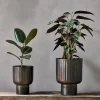 Dasalla Planter - Aged Brass