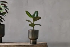 Dasalla Planter - Aged Brass