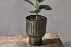 Dasalla Planter - Aged Brass