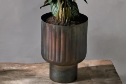 Dasalla Planter - Aged Brass