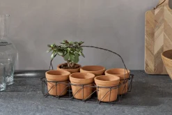 Dilipa Terracotta Multi Planter - Terracotta