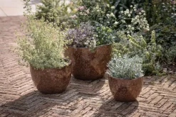 Dunai Terracotta Planter - Brown