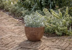 Dunai Terracotta Planter - Brown