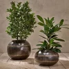 Endo Reclaimed Iron Globe Planter