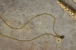 Hiral Labradorite Necklace - Gold