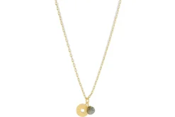 Hiral Labradorite Necklace - Gold