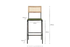 Iswa Leather & Cane Counter Chair - Rich Green