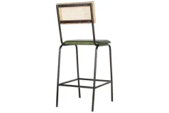 Iswa Leather & Cane Counter Chair - Rich Green