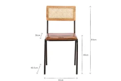 Iswa Leather & Cane Dining Chair - Tan