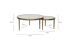 Jiya Iron & Glass Nested Coffee Tables - Brass