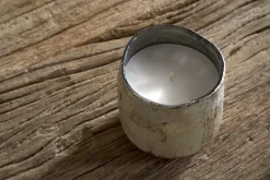 Juniper & Fir 1 Wick Scented Candle