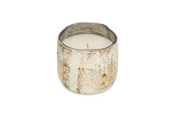 Juniper & Fir 1 Wick Scented Candle