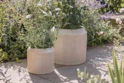 Kubo Ceramic Planter - Cream