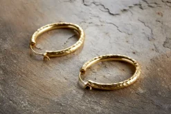 Labani Earrings - Gold