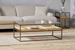 Luzon Iron & Mango Wood Display Coffee Table - Brass