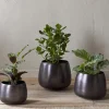 Maliki Plant Pot - Aged Bronze