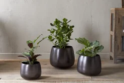 Maliki Plant Pot - Aged Bronze