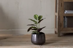 Maliki Plant Pot - Aged Bronze
