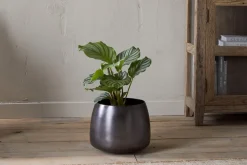 Maliki Plant Pot - Aged Bronze