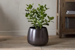 Maliki Plant Pot - Aged Bronze