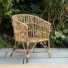 Nesari Rattan Armchair