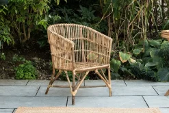 Nesari Rattan Armchair