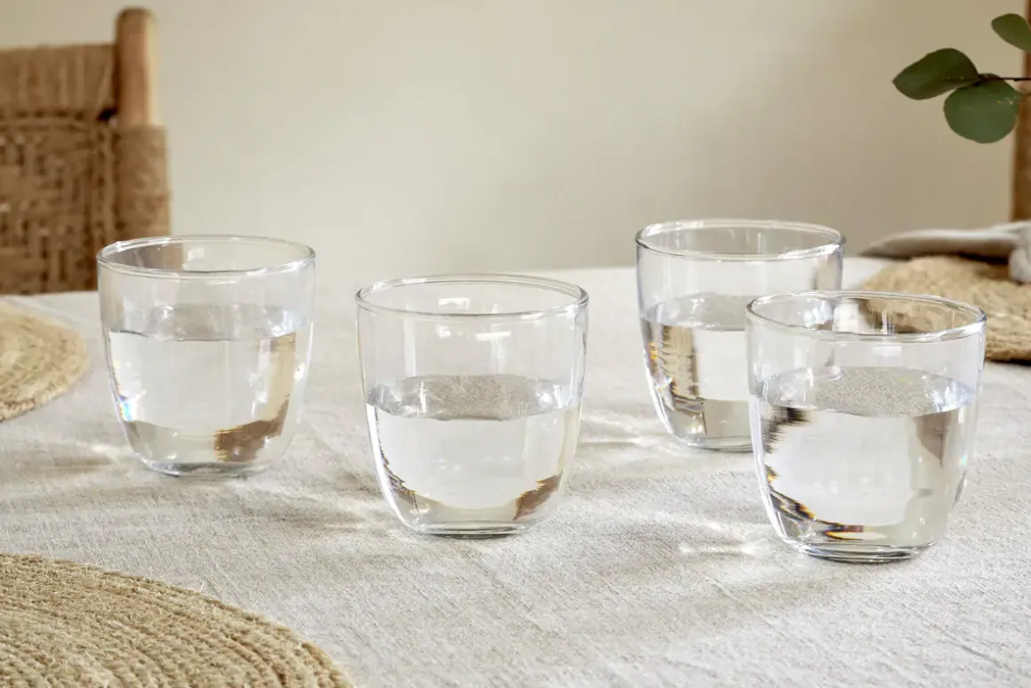 Pani Tumbler - Clear (Set of 4)