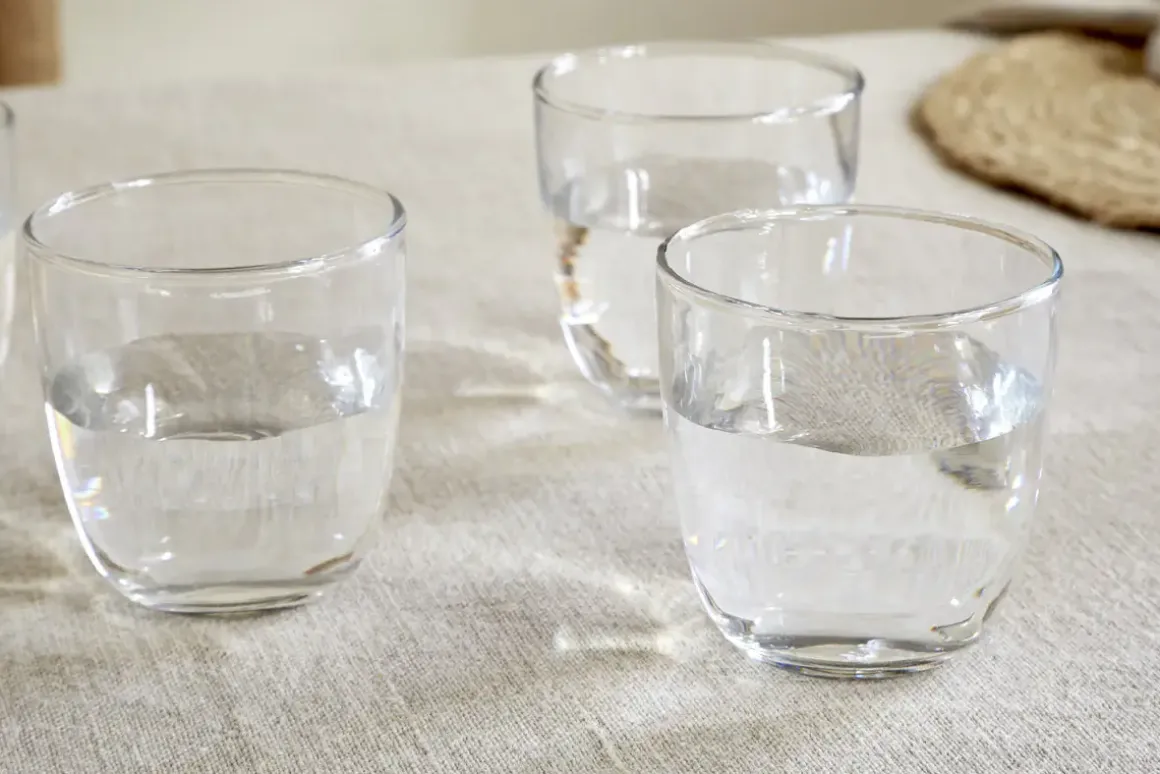 Pani Tumbler - Clear (Set of 4)