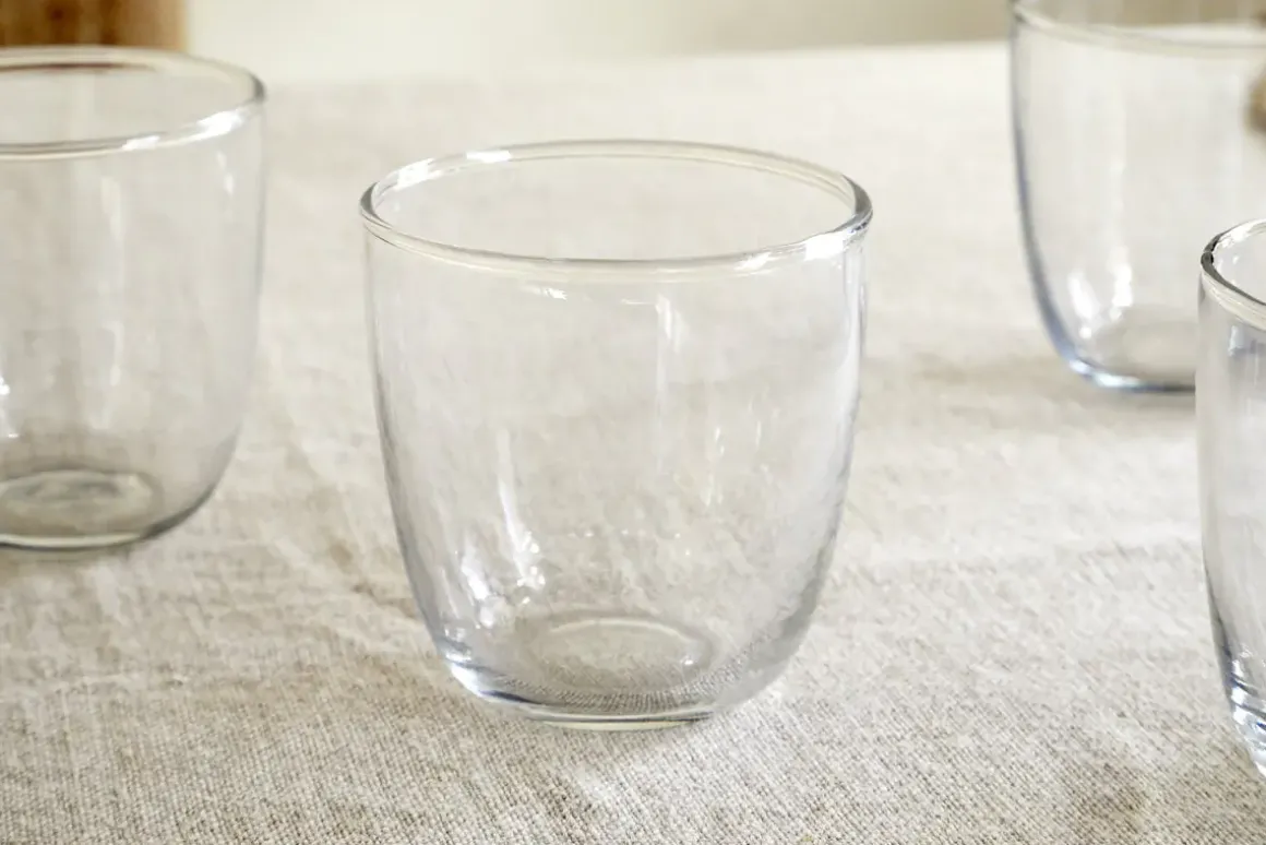 Pani Tumbler - Clear (Set of 4)