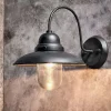 Phena Outdoor Swan Neck Metal Wall Lamp