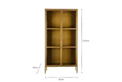 Ranchi Iron Tall Cabinet