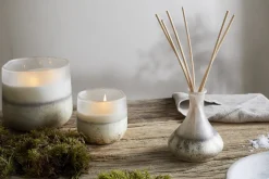 Sea Salt & Moss 1 Wick Scented Candle